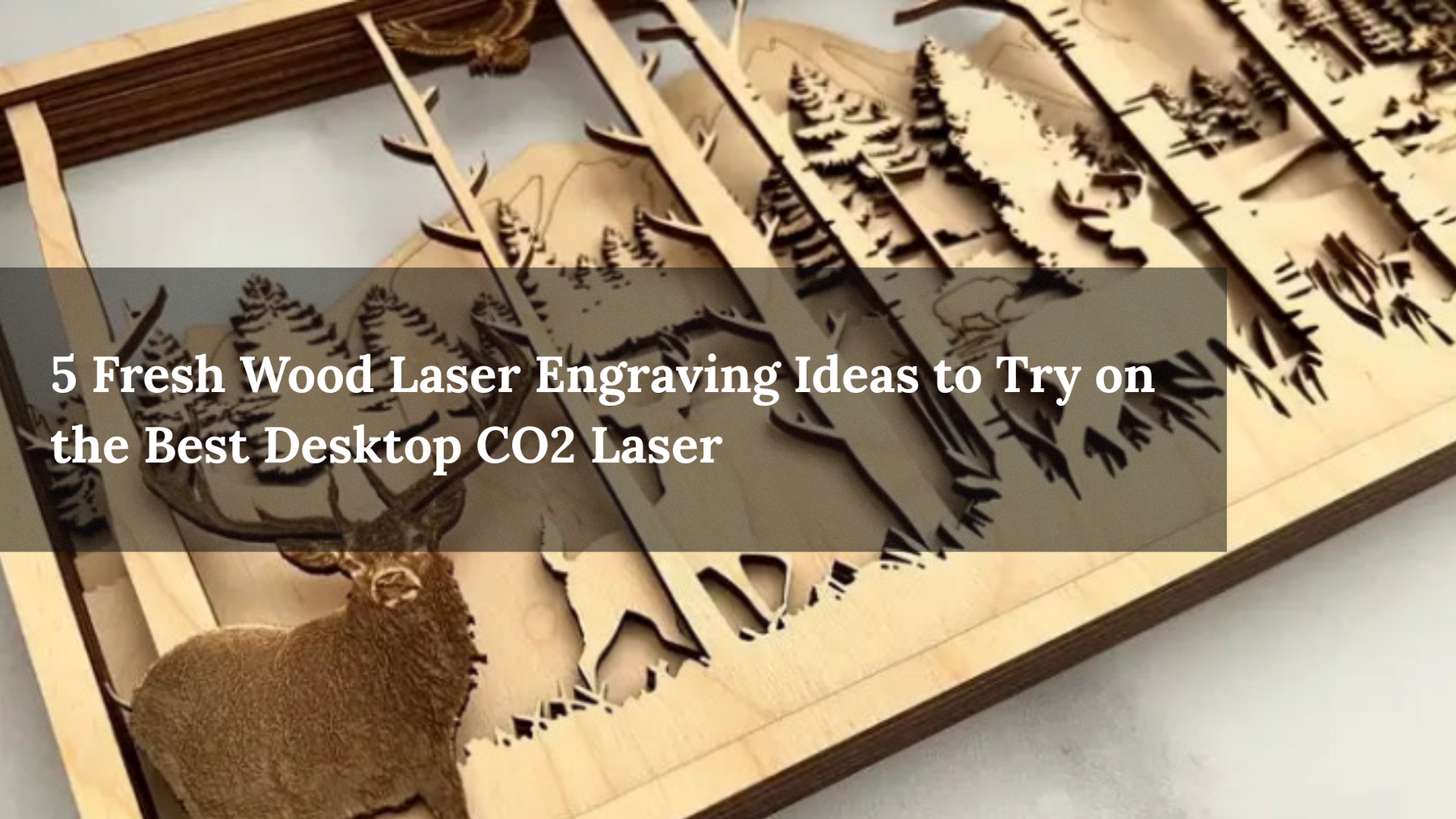 5 Fresh Wood Laser Engraving Ideas to Try on the Best Desktop CO2 Laser